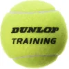 Dunlop Training 72er Karton Tennisbälle