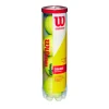 Wilson Championship Extra Duty 4er Dose Tennisbälle